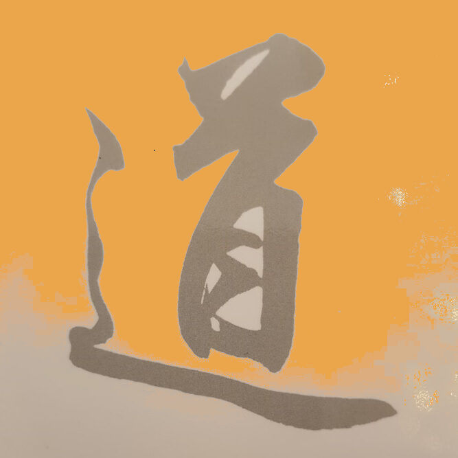 T'ai Chi